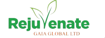 logo-removebg-preview.png
